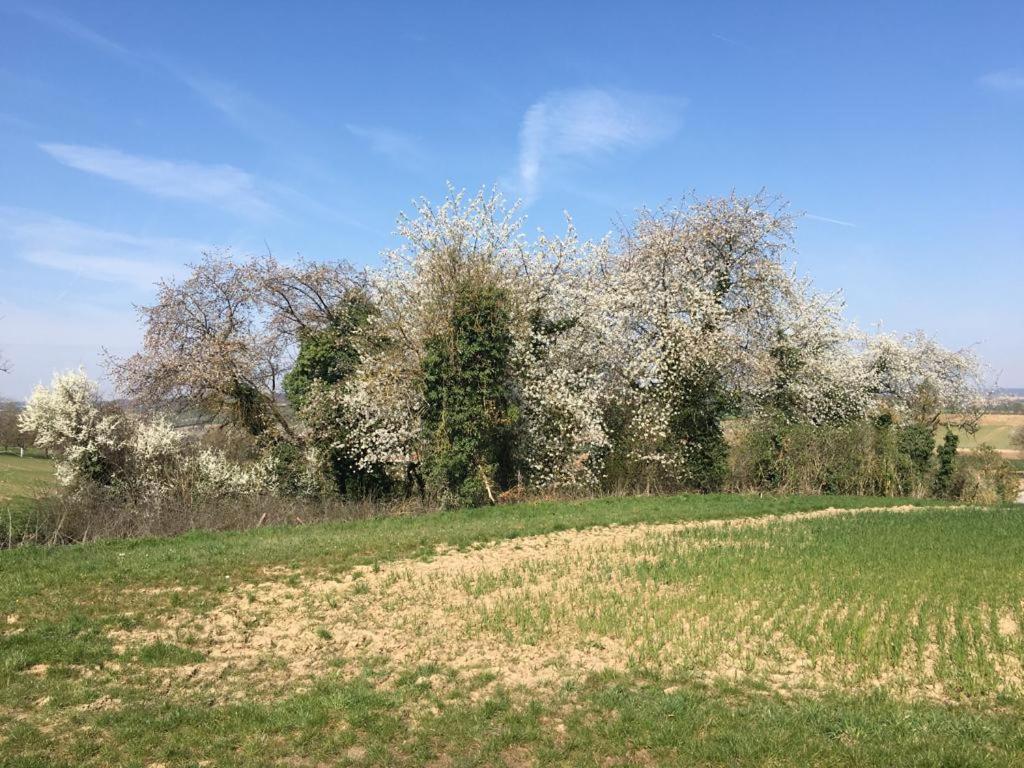 Sonnige Wohnung Mit Balkon Eppingen Esterno foto