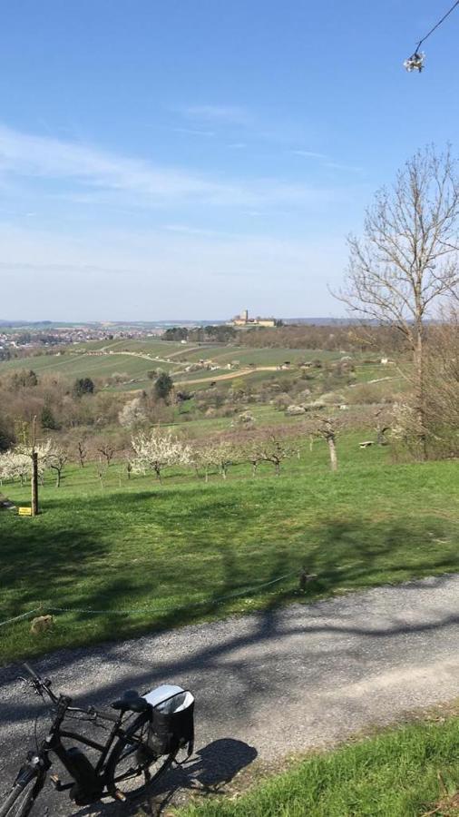 Sonnige Wohnung Mit Balkon Eppingen Esterno foto